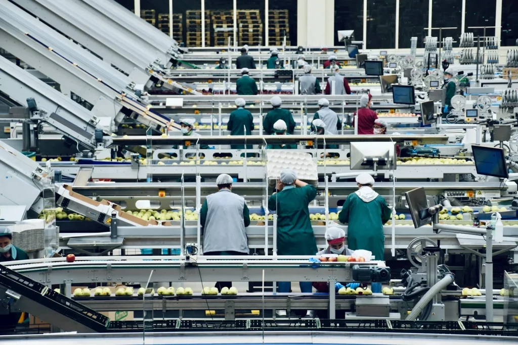 Employees working along conveyor lines inside a food-processing facility.
